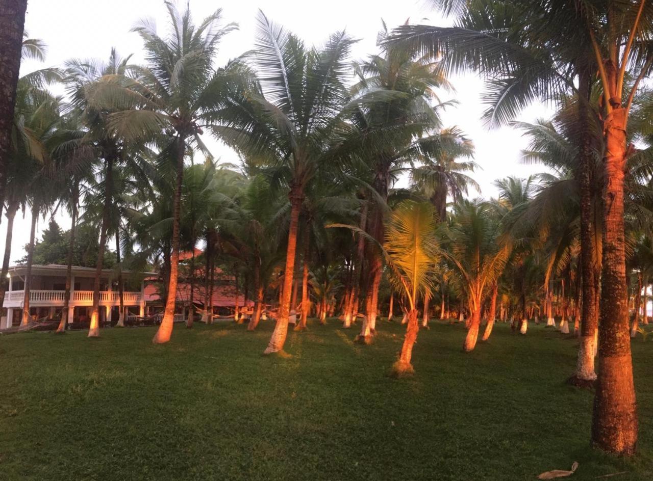 Hotel La Isla Parrita Exteriér fotografie